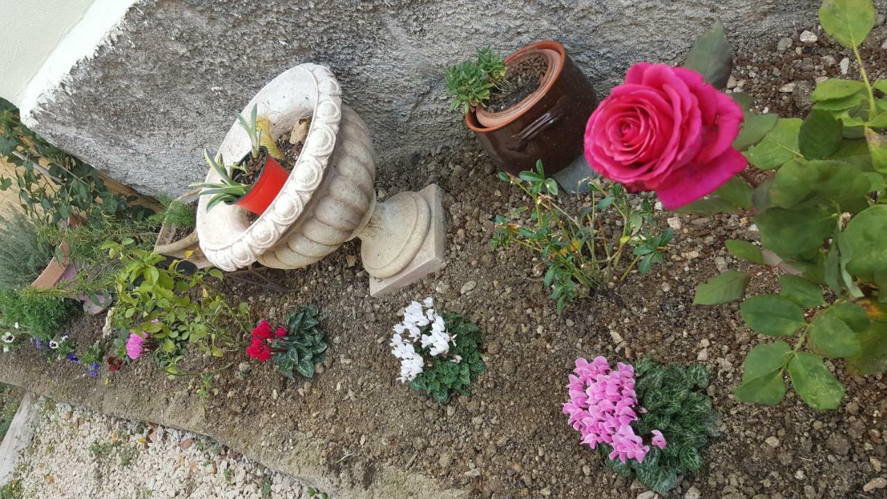B&B In Sabina Poggio Nativo Zewnętrze zdjęcie